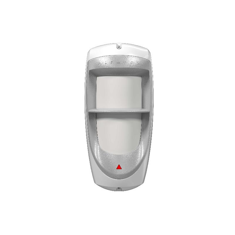 DG85 Detector PIR Paradox